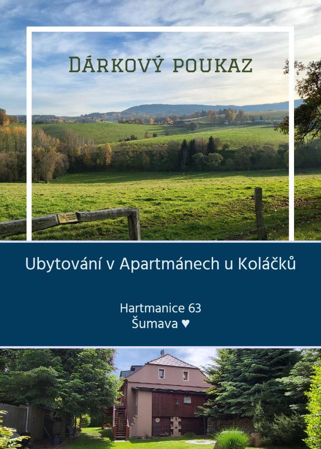 Apartmany U Kolacku Hartmanice  Dış mekan fotoğraf